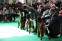 Crufts2011 674